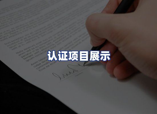 认证项目展示